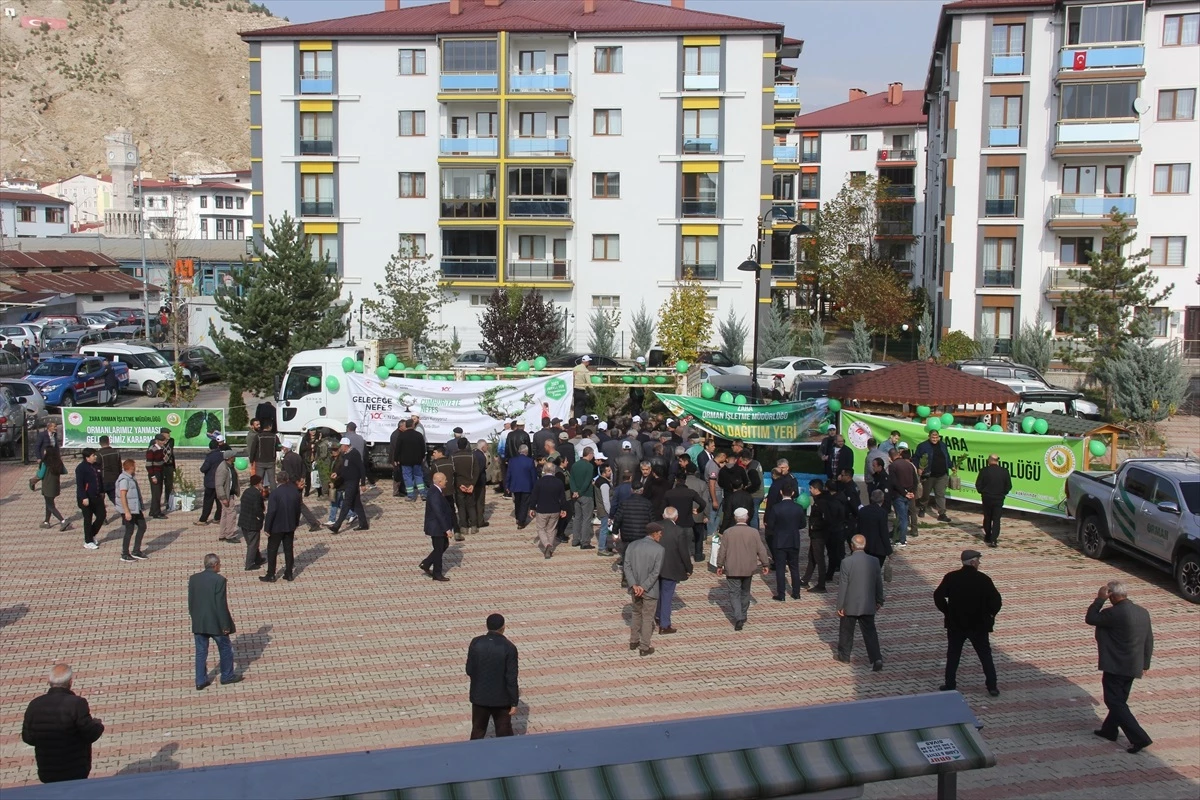 Sivas Zara\'da Vatandaşlara Ücretsiz Fidan Dağıtıldı
