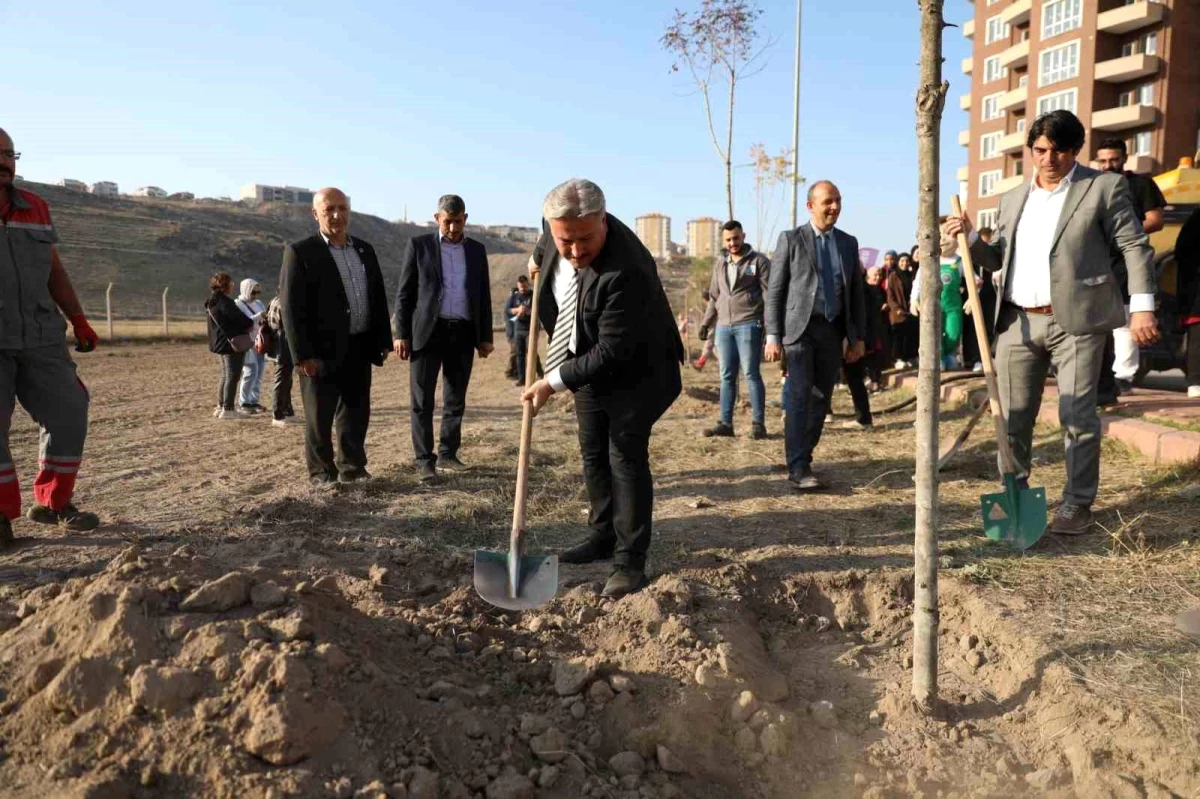 Başkan Palancıoğlu: "Fidan değil ağaç dikiyoruz"