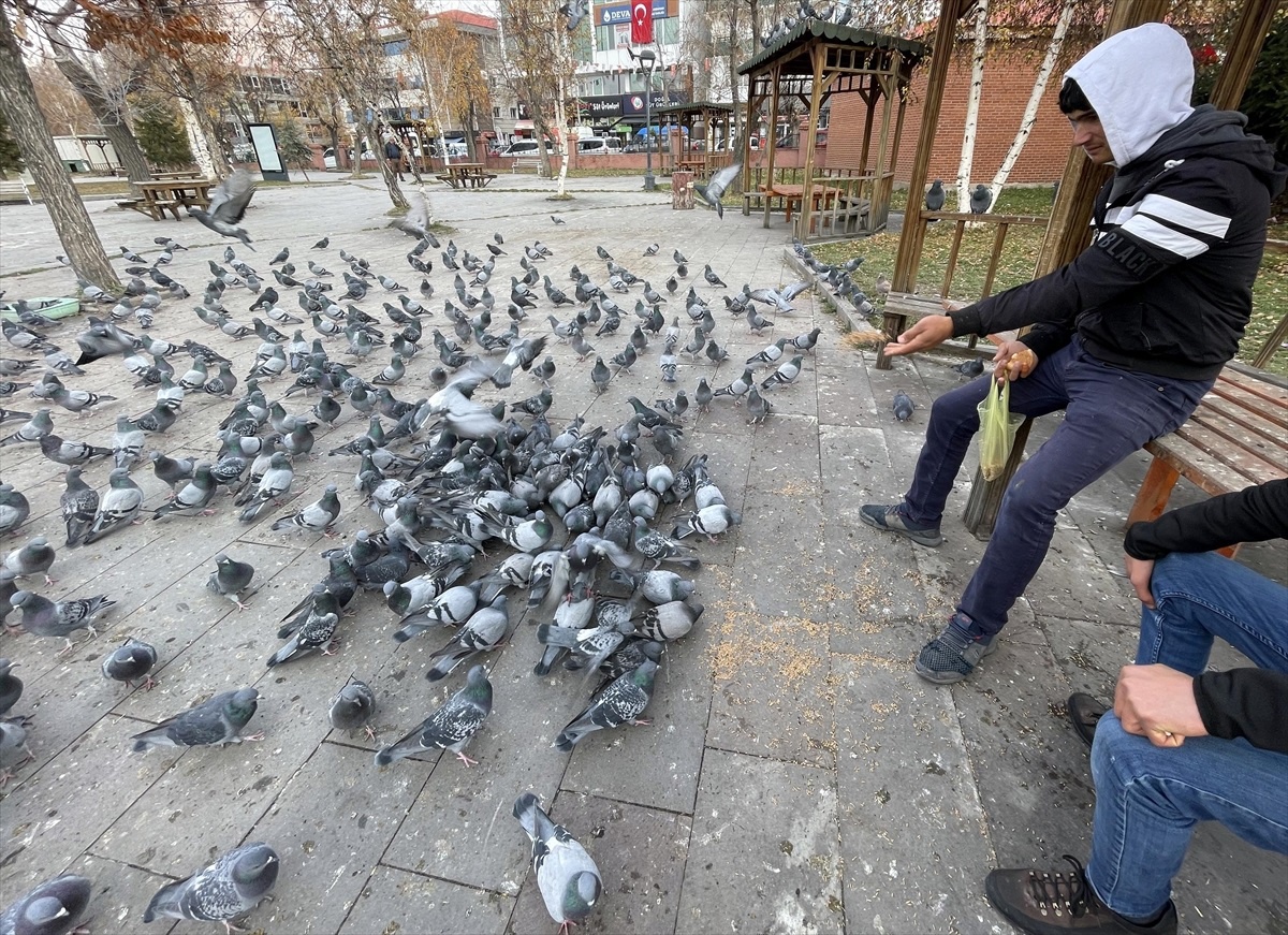 Ardahan\'da Soğuk Hava Nedeniyle Yiyecek Bulmakta Güçlük Çeken Güvercinlere Yardım