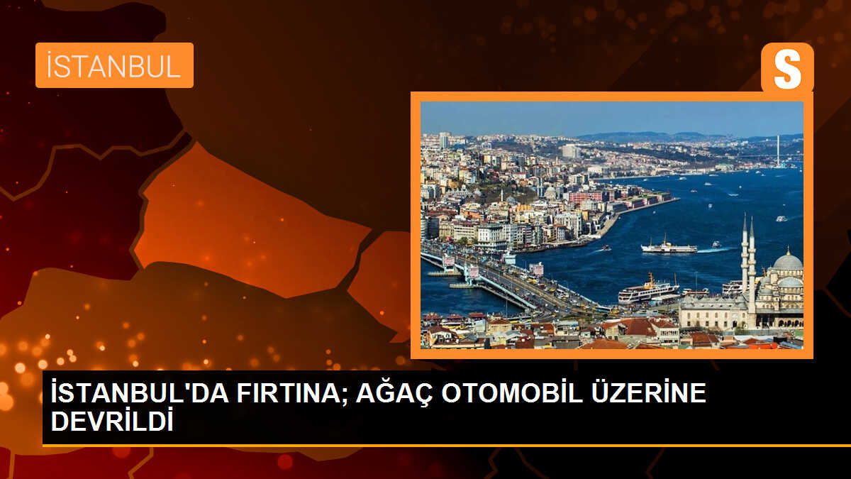 Ataköy\'de Şiddetli Rüzgarın Etkisiyle Ağaç Otomobilin Üstüne Devrildi