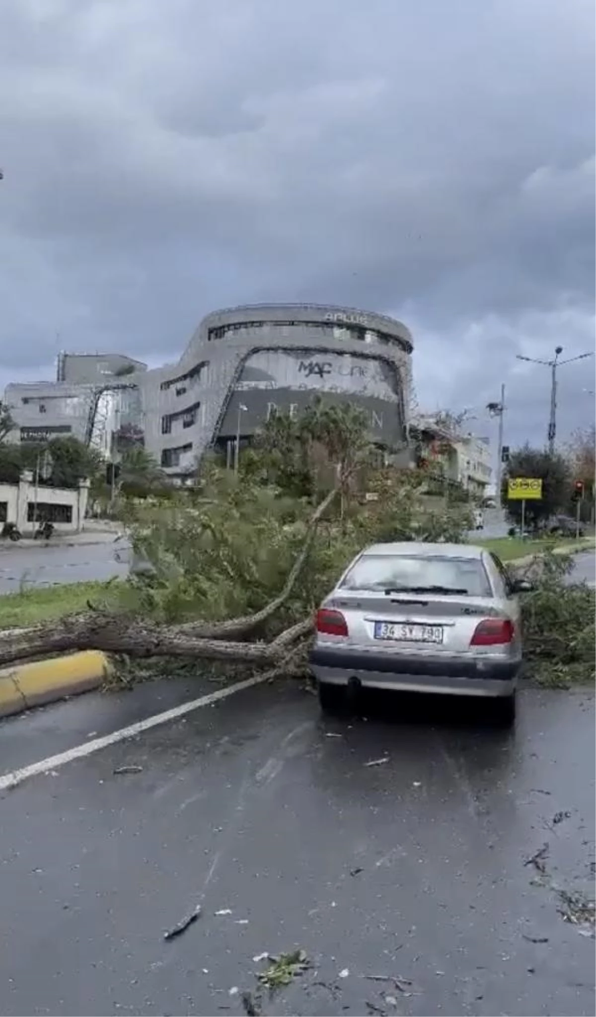 Ataköy\'de Rüzgarın Etkisiyle Ağaç Otomobilin Üstüne Devrildi
