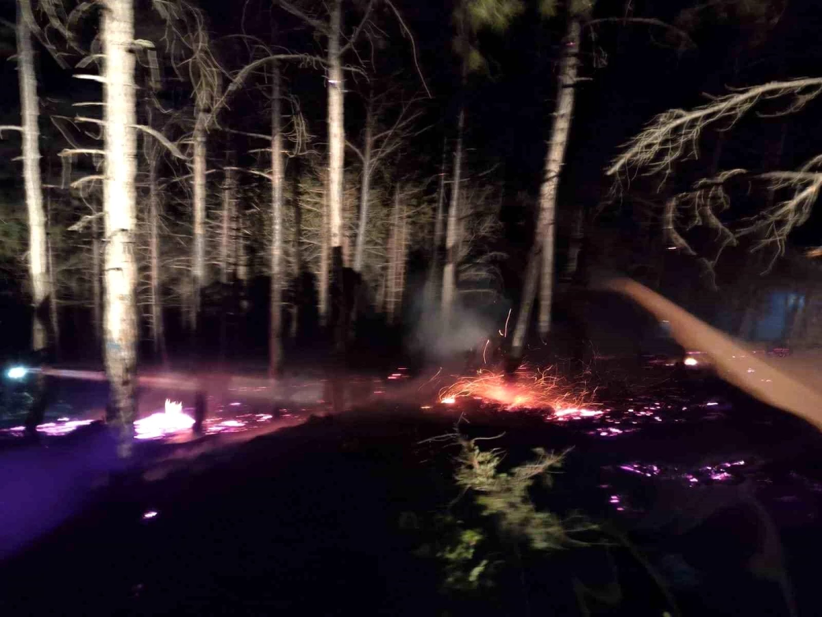 Göynük\'te Ormanlık Alanda Çıkan Örtü Yangını Kontrol Altına Alındı