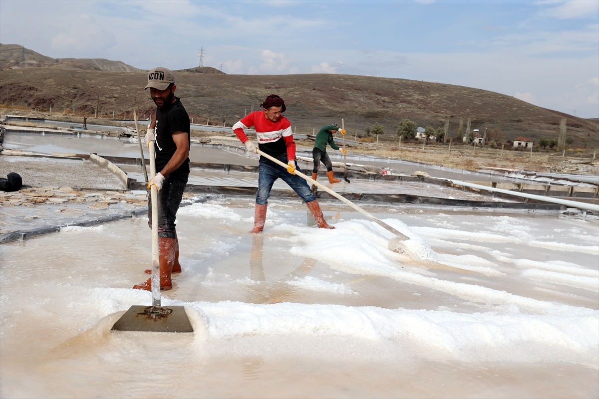 Sivas\'ın Zara ilçesinde doğal kaynak tuzu üretimi