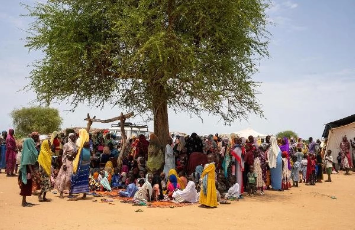 UNHCR, Sudan\'daki çatışmalardan endişe duyuyor