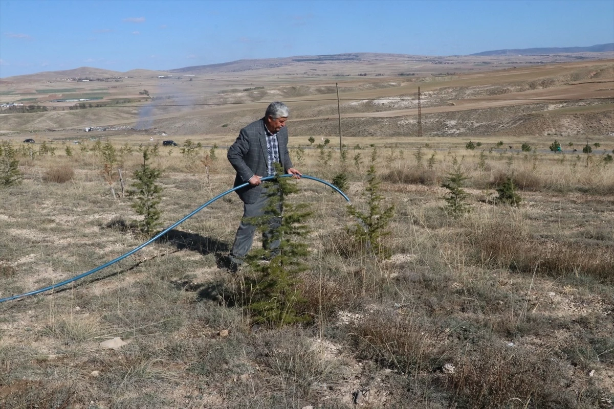 Yozgat\'ta doğa gönüllüsü 23 yılda 25 hatıra ormanı oluşturdu