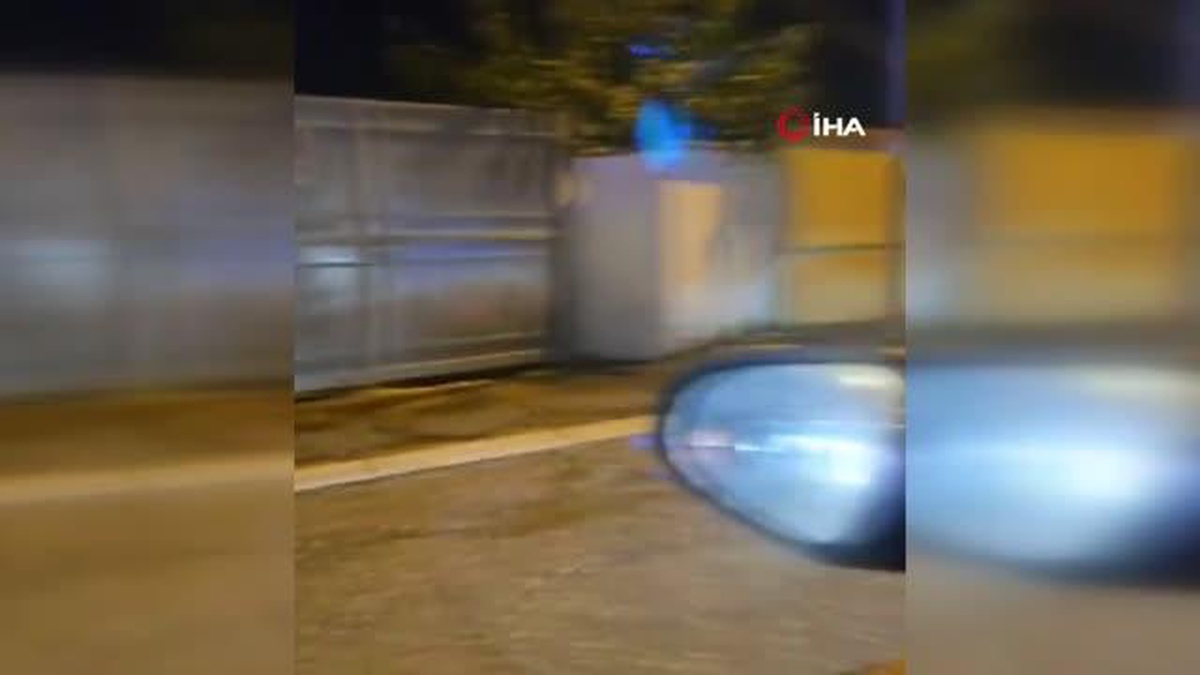 Roma\'da Sirkten Kaçan Aslan Sokakta Yürüdü
