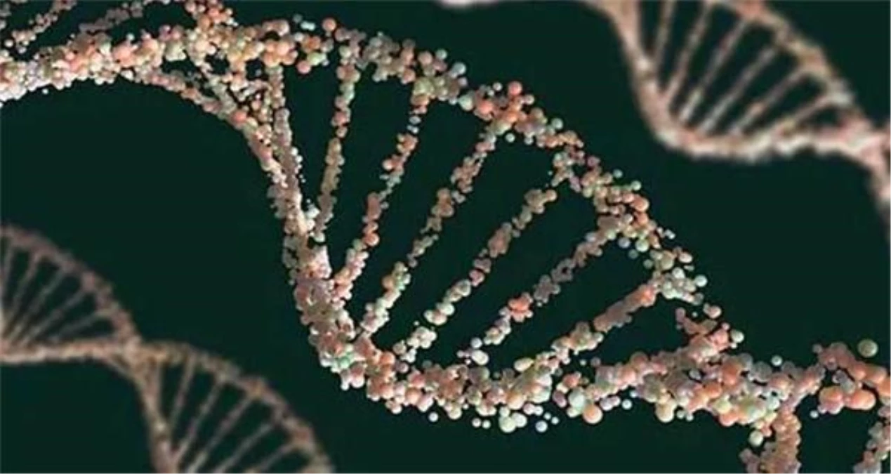 Bilim İnsanları Yapay DNA Modeli Oluşturdu