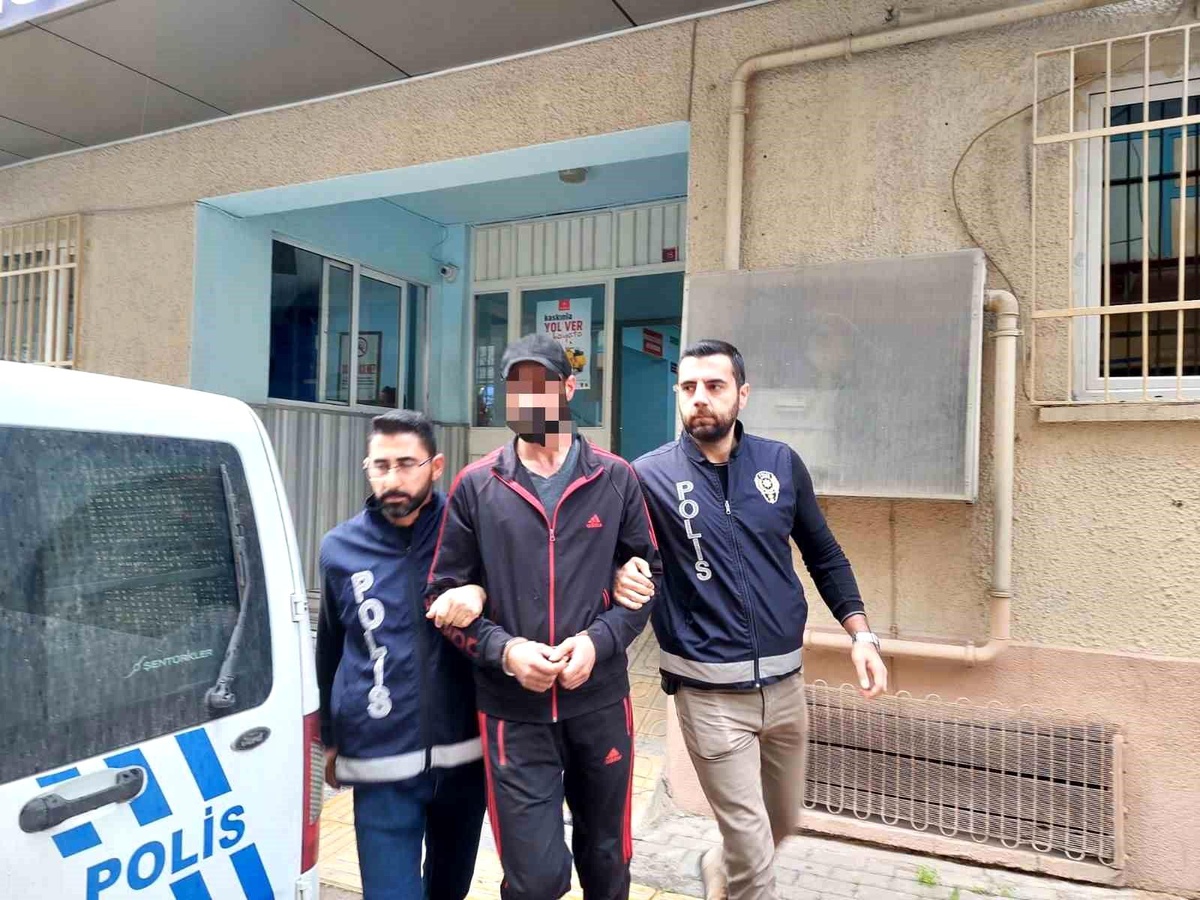 Bursa Orhangazi\'de Zeytin ve Zeytinyağı Hırsızlığı Zanlıları Yakalandı