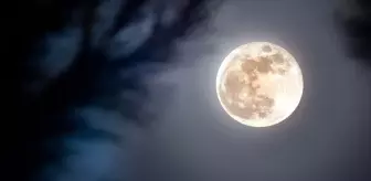 Dolunay ne zaman? Dolunay neden olur?