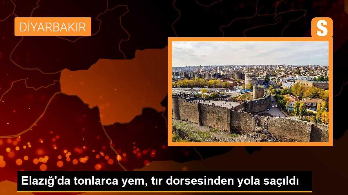 Elazığ\'da tonlarca yem, tır dorsesinden yola saçıldı