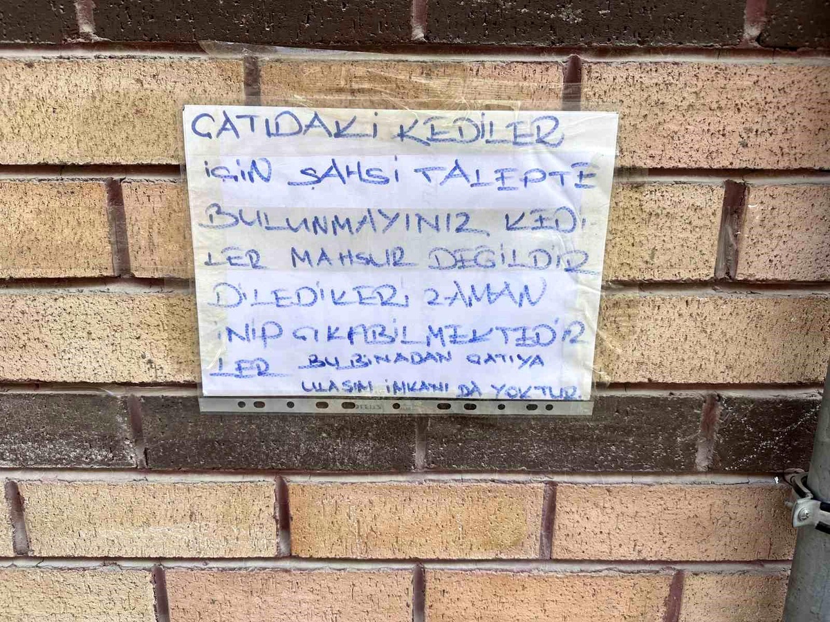 Eskişehir\'de Çatıda Mahsur Kaldığı Sanılan Kediler İçin Bilgilendirme Yazısı Asıldı
