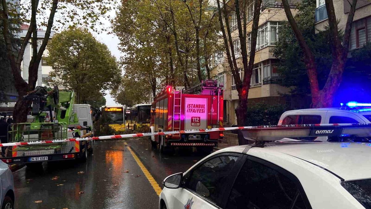Maltepe\'de Şiddetli Rüzgarın Etkisiyle Park Halindeki Otomobilin Üzerine Ağaç Devrildi