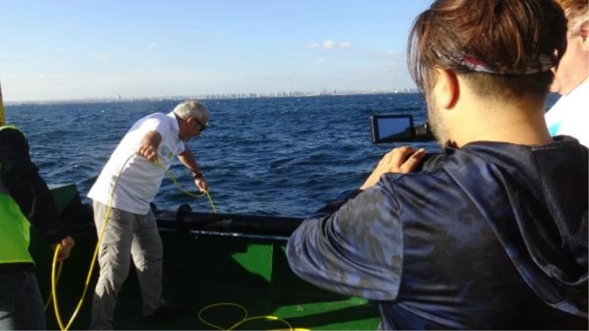 İstanbul Üniversitesi Su Bilimleri Fakültesi, Marmara Denizi\'nin derinliklerindeki su altı topluluklarını belirlemek için robotik cihaz kullanıyor