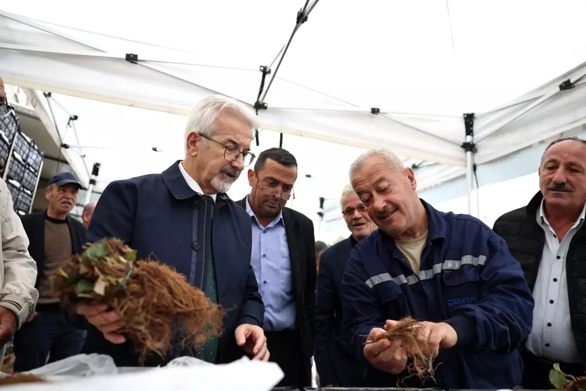 Nilüfer Belediyesi, İnegazi ve Atlas Mahalleleri\'nde Çilek Fidesi Dağıttı