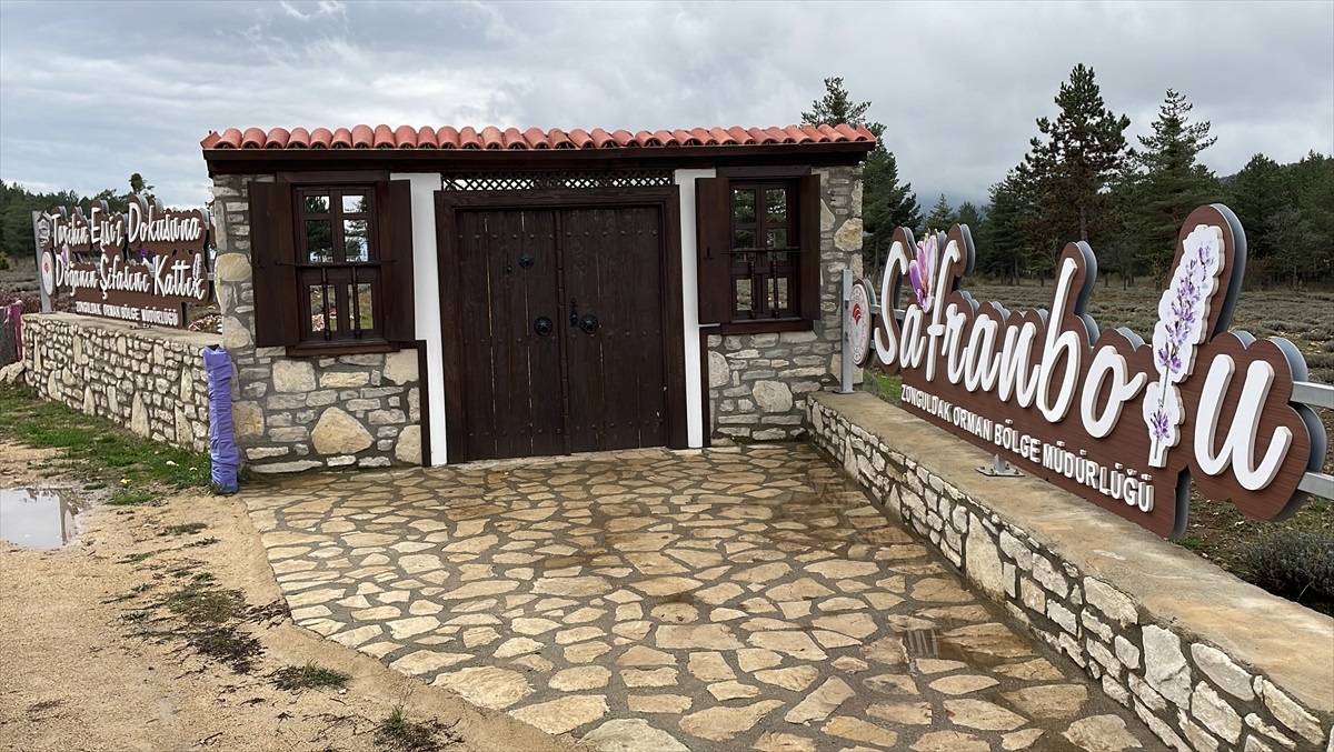 Safranbolu "Tıbbi ve Aromatik Bitkiler Şehri"nde 177 bin 800 bitki yetiştiriliyor