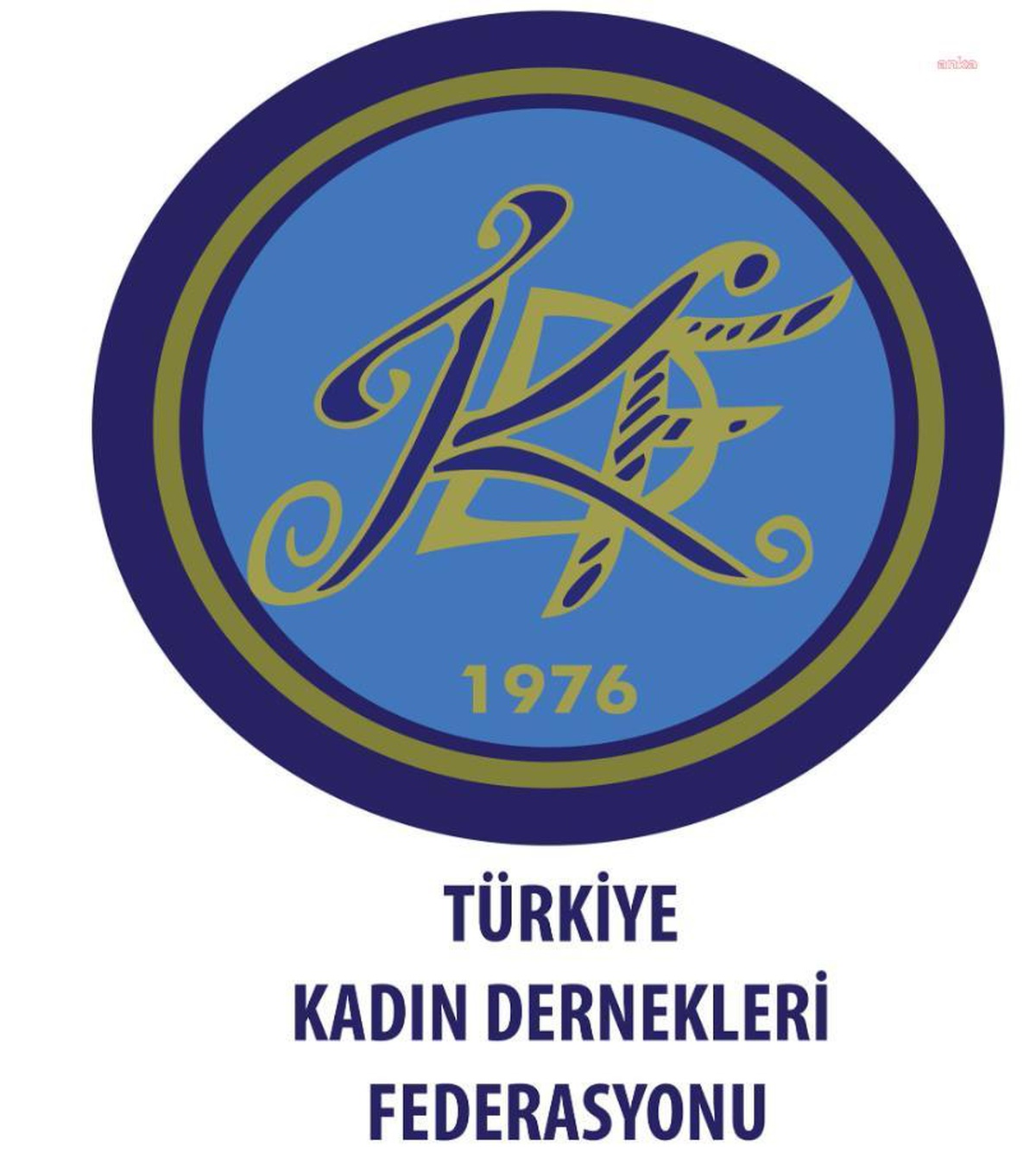 2023 Yılında 350 Kadın Cinayete Kurban Gitti