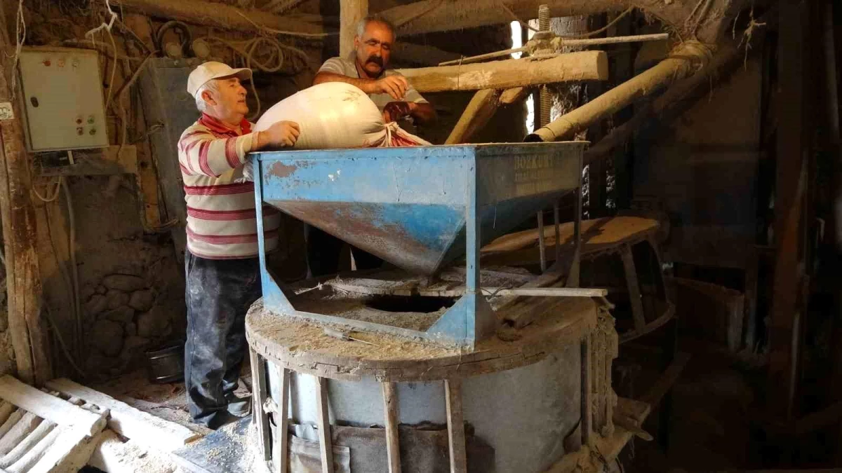 Yozgat\'ta 49 Yıllık Taş Değirmende Tam Buğday Unu Üretimi