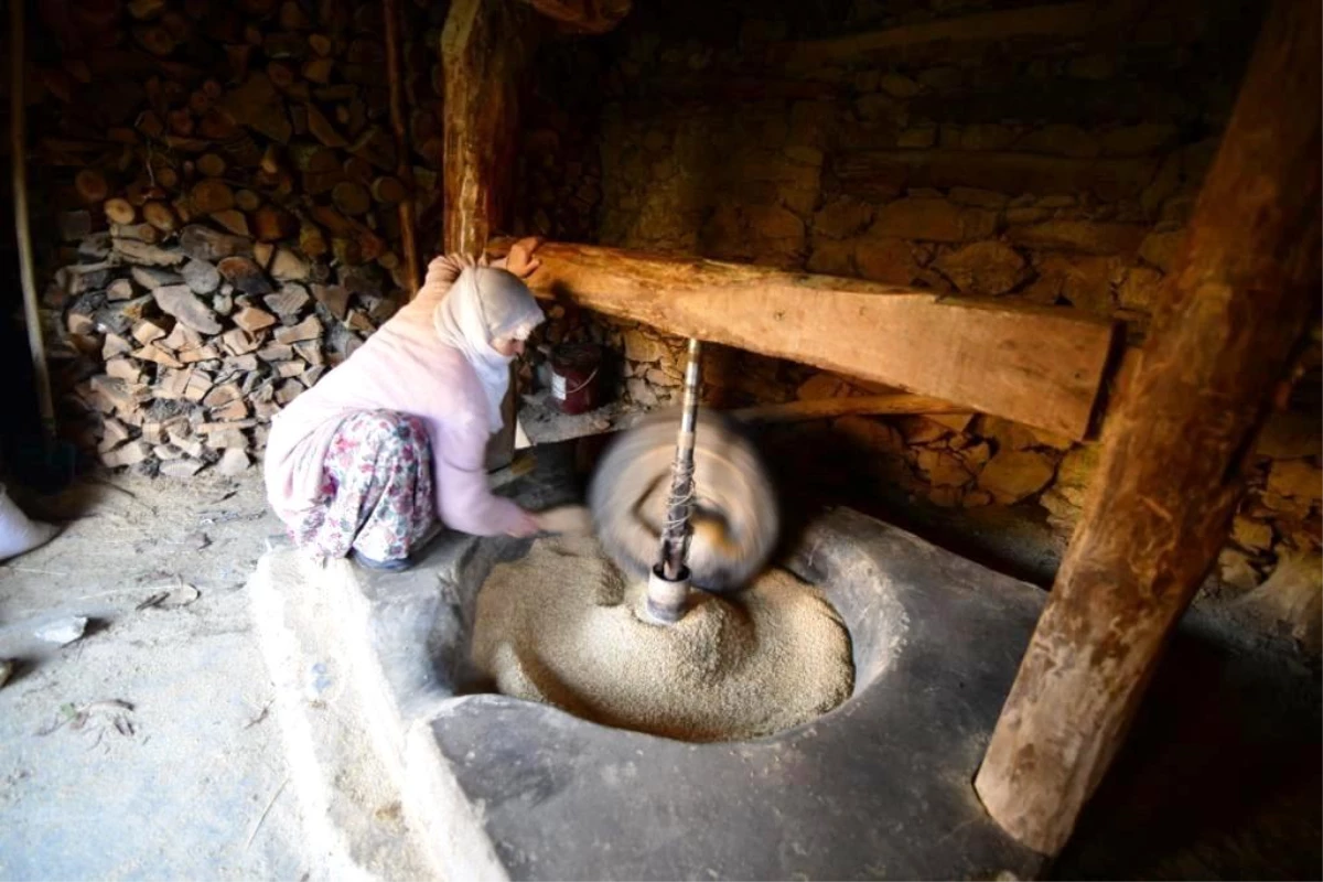 Bitlis\'te asırlık su değirmeninde çeltikler pirinç haline getiriliyor