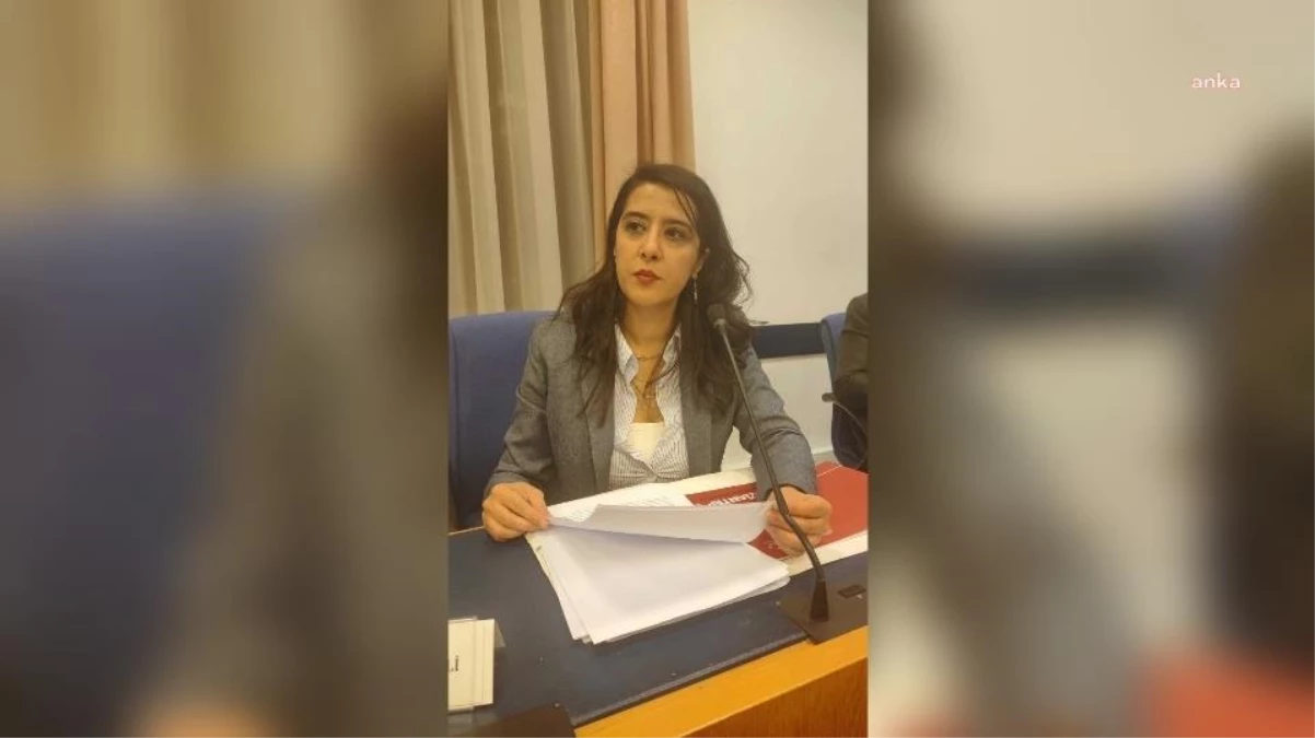 EMEP Milletvekili Sevda Karaca, Milli Eğitim Bakanlığı bütçesini eleştirdi