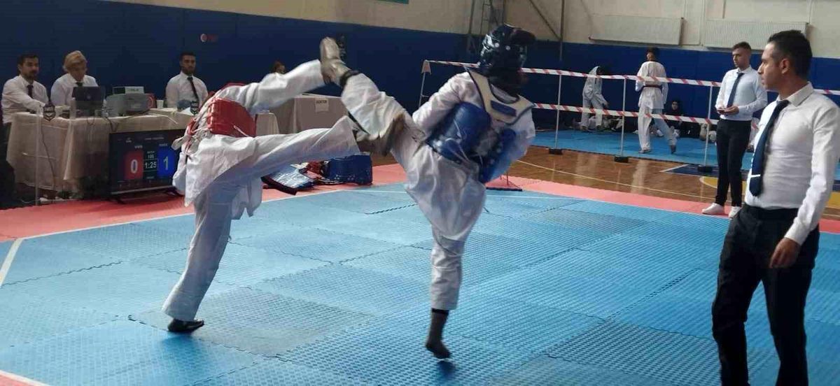 10 Kasım Atatürk\'ü Anma İller Arası Taekwondo Turnuvası