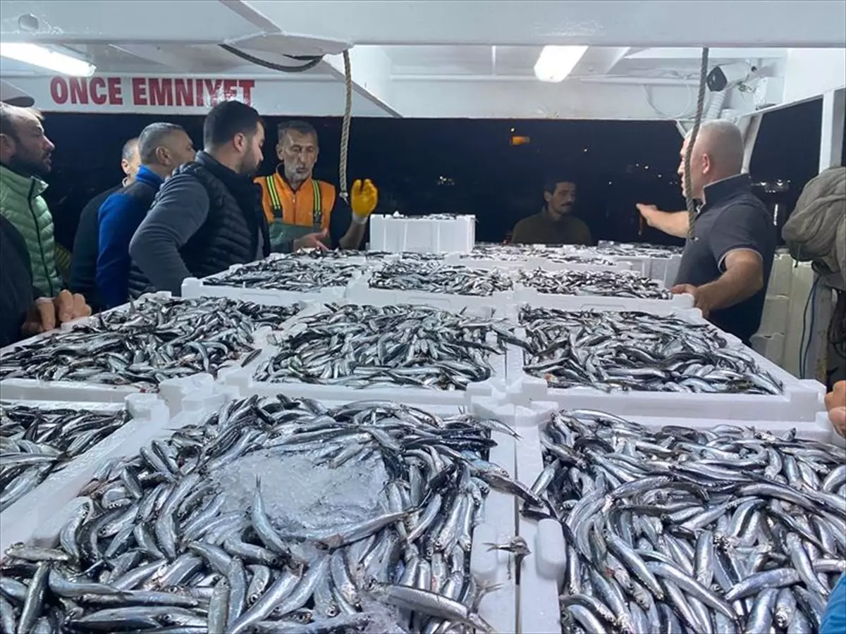 Ordu\'da Su Ürünleri Denetimleri Devam Ediyor