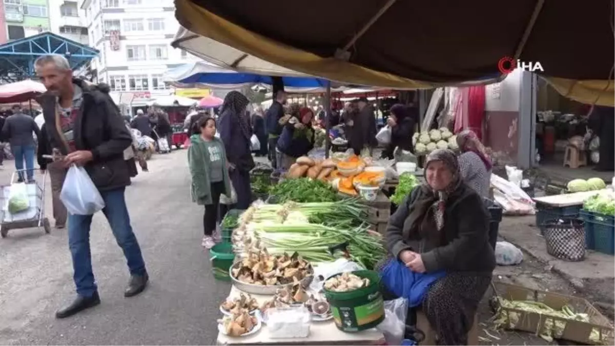 Sabriye teyzenin kanlıca mantarı mesaisi