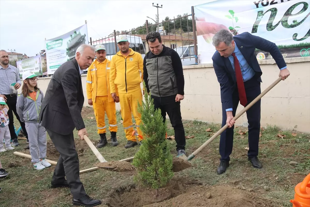 Amasya\'nın Taşova ilçesinde 100 fidan dikildi