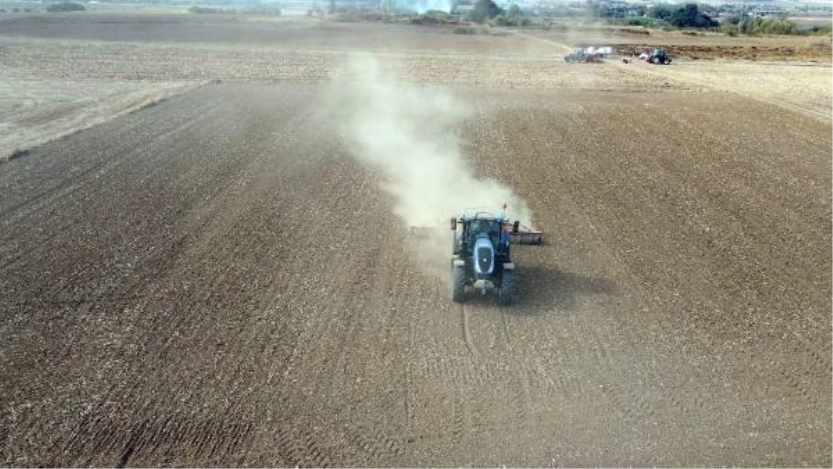 Trakya\'da Yağan Yağışlar Buğday Üreticilerine Umut Verdi