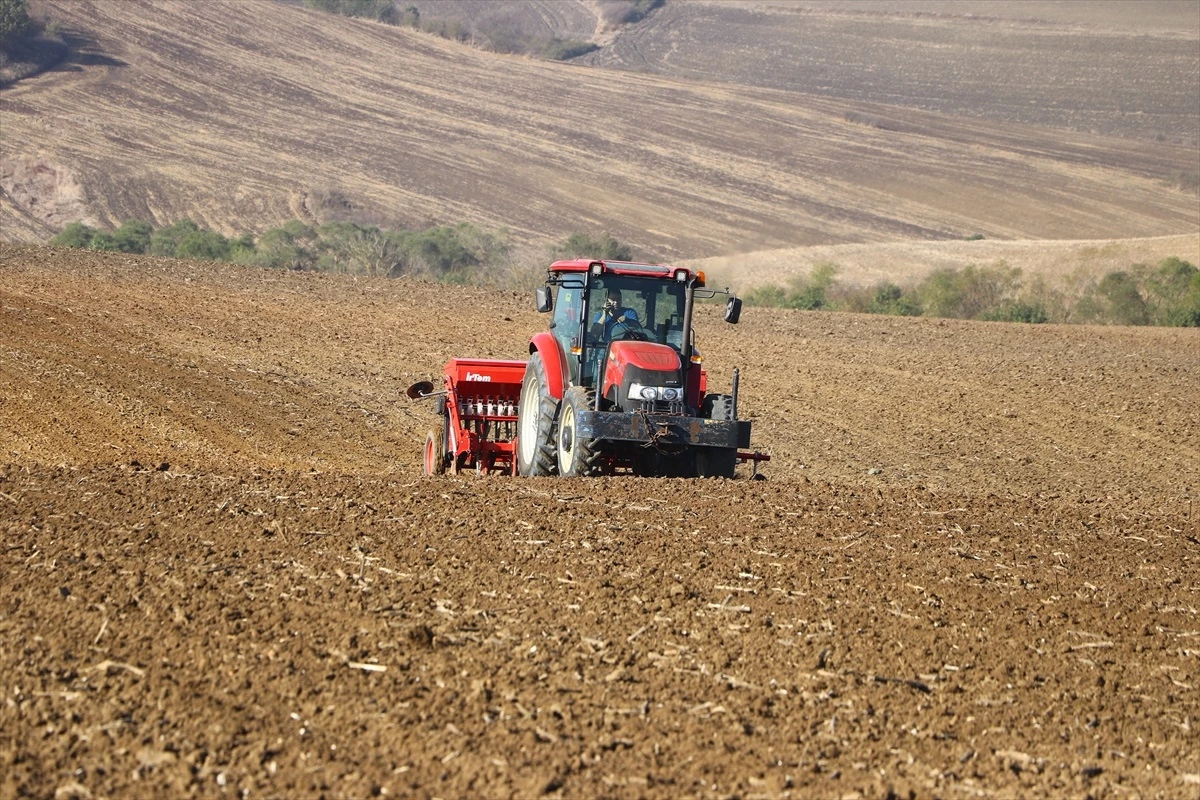 Ağır Bünyeli Topraklarda Derine Ekilen Buğdaylar Verim Kaybına Neden Olabilir