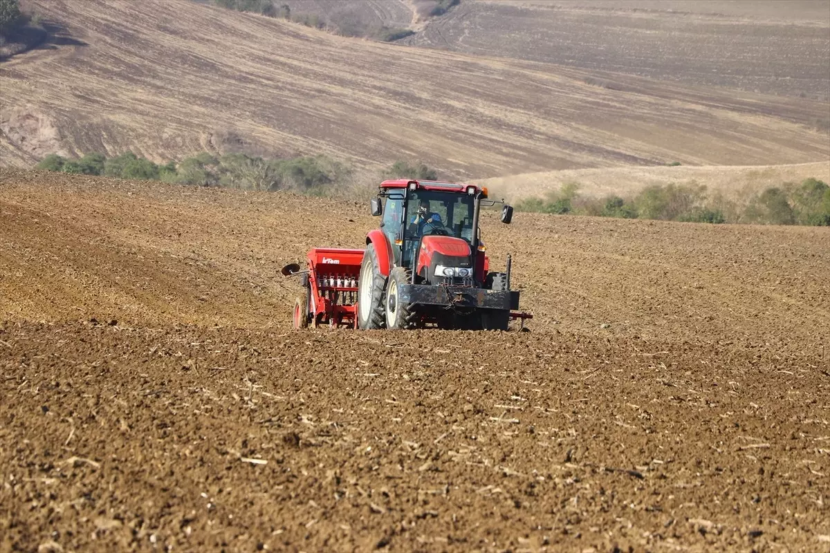 Ağır Bünyeli Topraklarda Derine Ekilen Buğdaylar Verim Kaybına Neden Olabilir