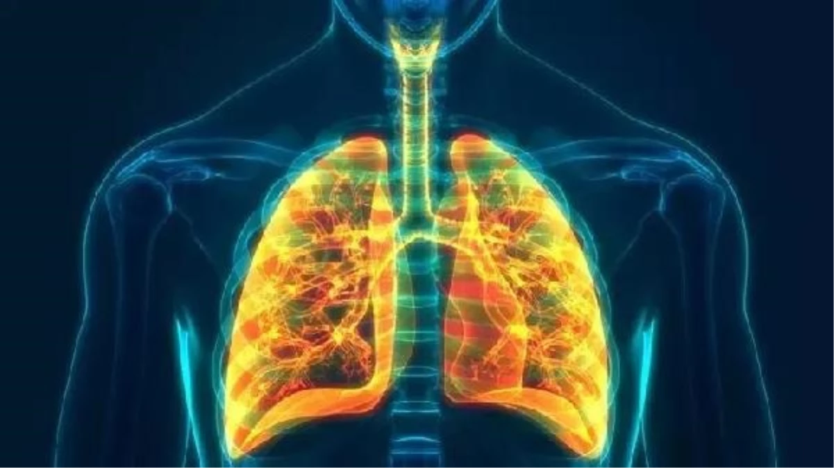 Akciğer Temizliği ve Akciğer Lavajı Hakkında Bilgi Verildi