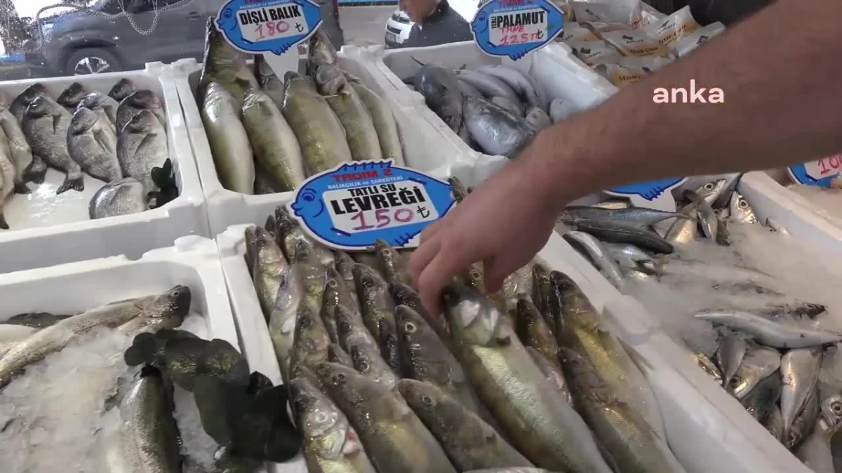 Aksaray\'da Balık Hali İstemi