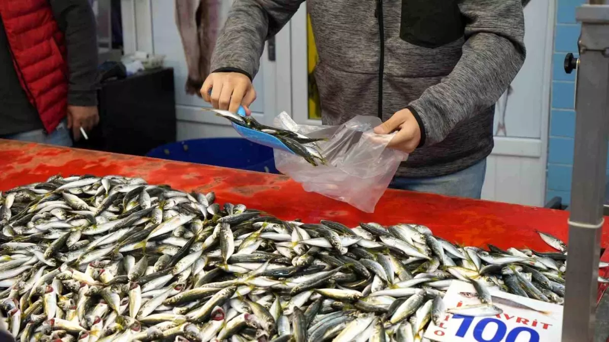 Bolu\'da Hamsi Fiyatları Yükseldi, Balıkçılar Fırtınanın Etkisini Dile Getirdi