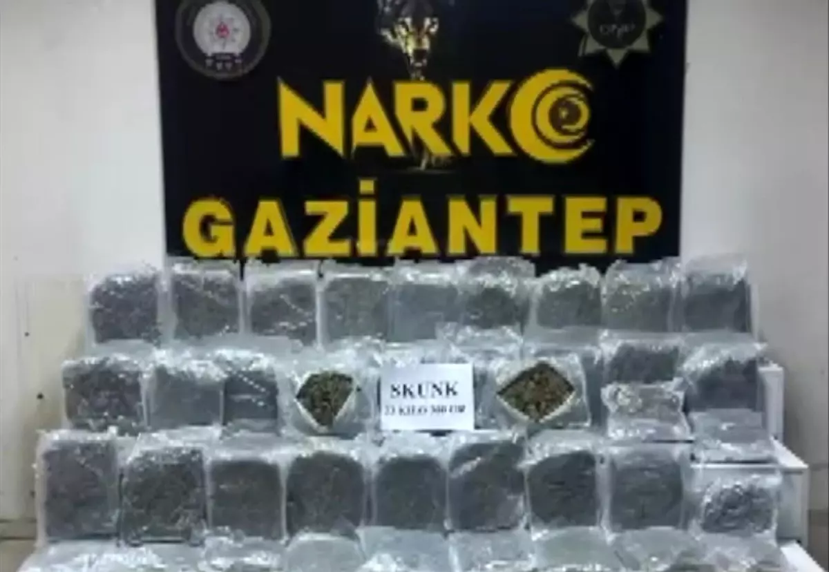 Gaziantep\'te 28 Kilo Skunk Ele Geçirildi, 2 Şüpheli Tutuklandı