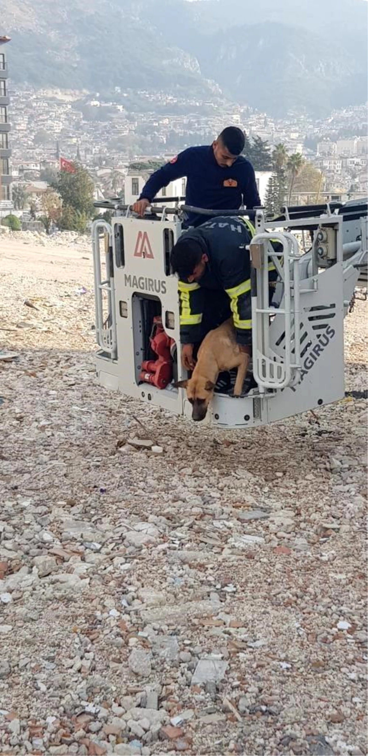 Hasarlı bir binada mahsur kalan köpek itfaiye ekipleri tarafından kurtarıldı