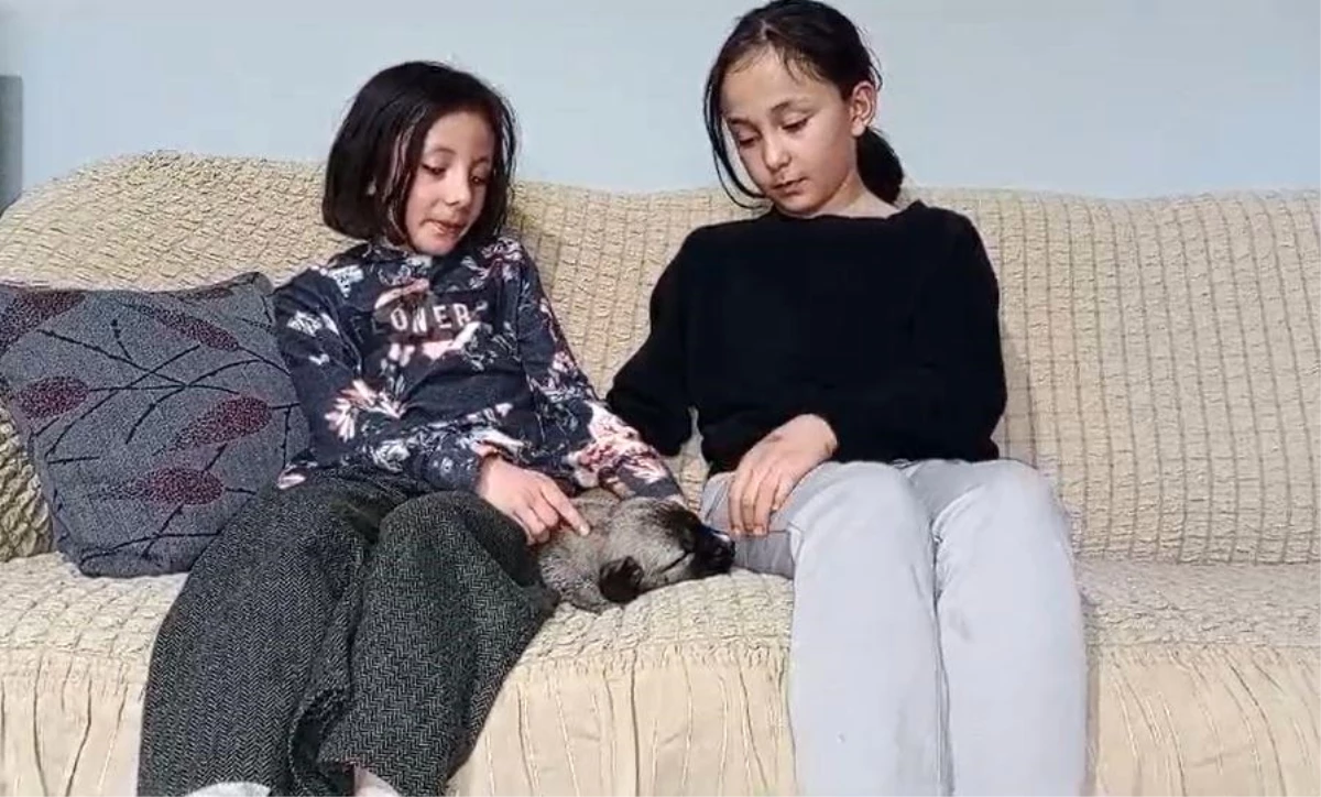 İki kız kardeşin bulduğu yavru köpeği ninniyle uyuttuğu anlar sosyal medyayı ısıttı