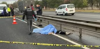 Tekirdağ'da Otomobilin Çarptığı Kadın ve Köpeği Hayatını Kaybetti