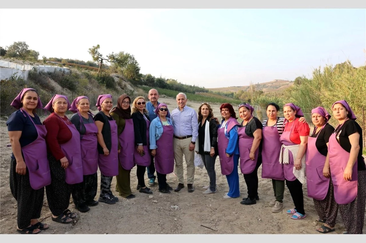 Akdeniz\'de Kadınlar Organik Yeşillik Üretiyor Projesi