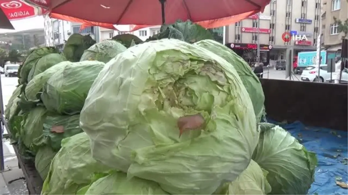 Bayburt\'ta organik lahanalar tezgahta yerini aldı