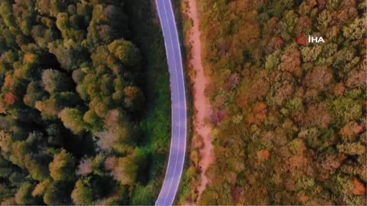 Eşsiz Sonbahar Manzarasında Masalsı Yolculuk