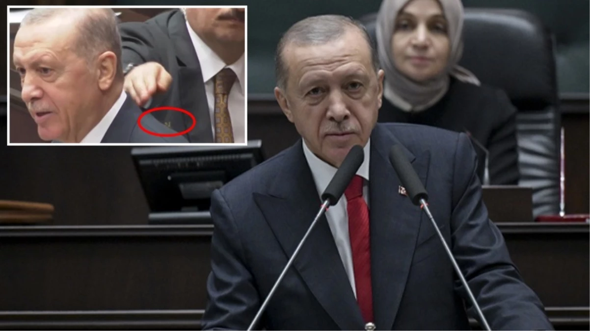 Erdoğan kürsüde konuşurken omzuna arı kondu! Koruması jet hızıyla müdahale edip etkisiz hale getirdi
