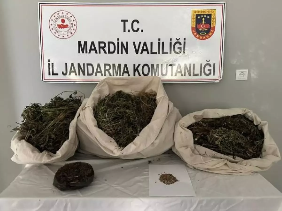 Mardin\'de \'Narko Güç\' operasyonunda 7 şüpheli tutuklandı