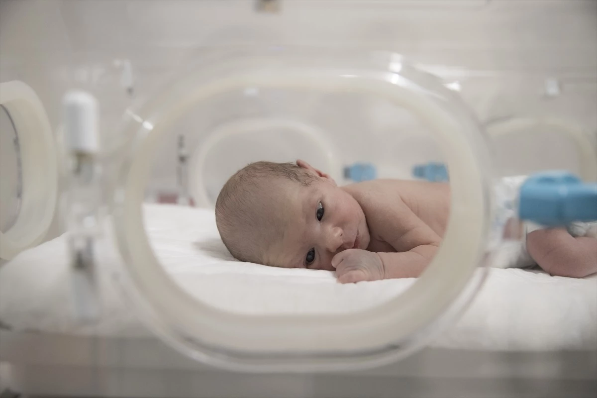 Erzurum Şehir Hastanesi\'nde prematüre bebeklere anne şefkati
