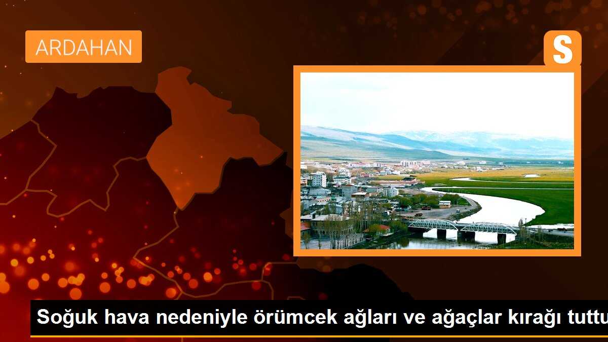 Soğuk hava nedeniyle örümcek ağları ve ağaçlar kırağı tuttu