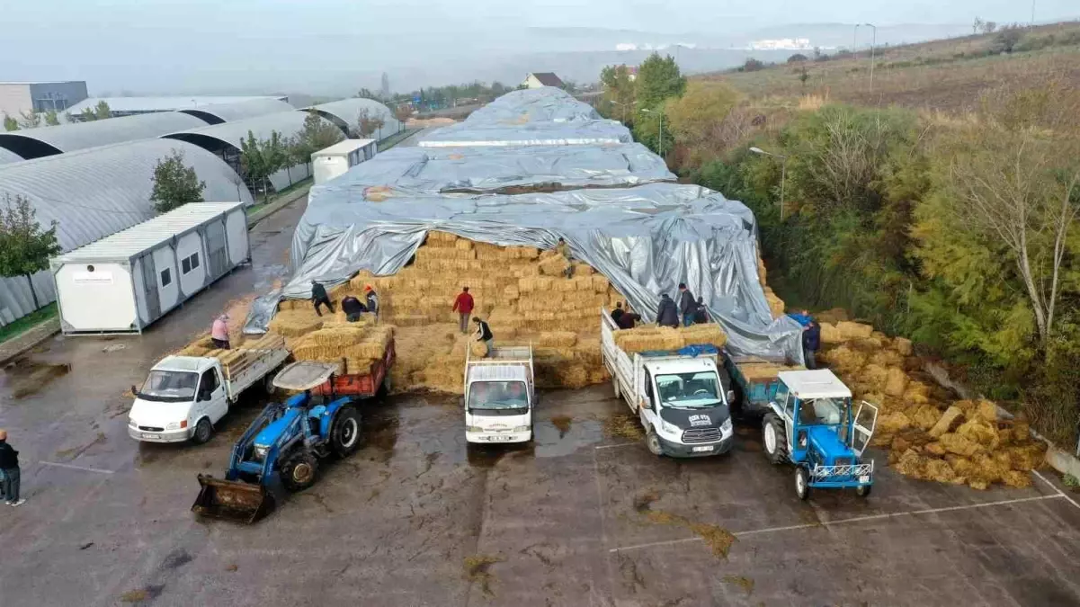 Balıkesir Büyükşehir Belediyesi, Çiftçilere Ot Balyalarını Hibe Ediyor