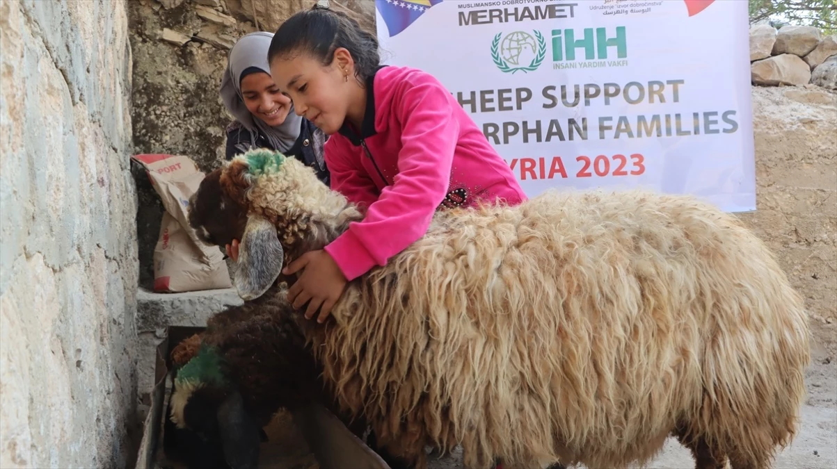 İHH ve Merhamet Derneği, Suriyeli yetim çocukların ailelerine hayvan desteği sağladı