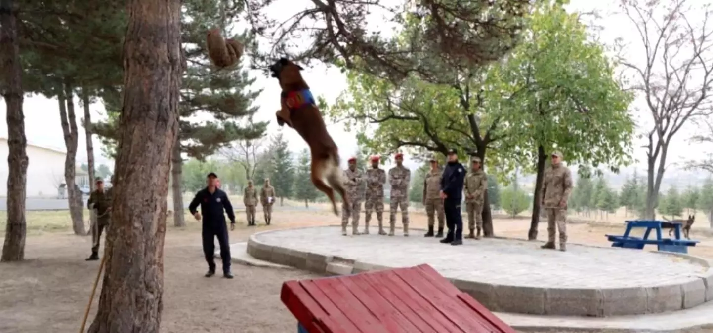 Katarlı Askerler, Nevşehir Jandarma At Köpek Eğitim Merkezi'ni Ziyaret Etti