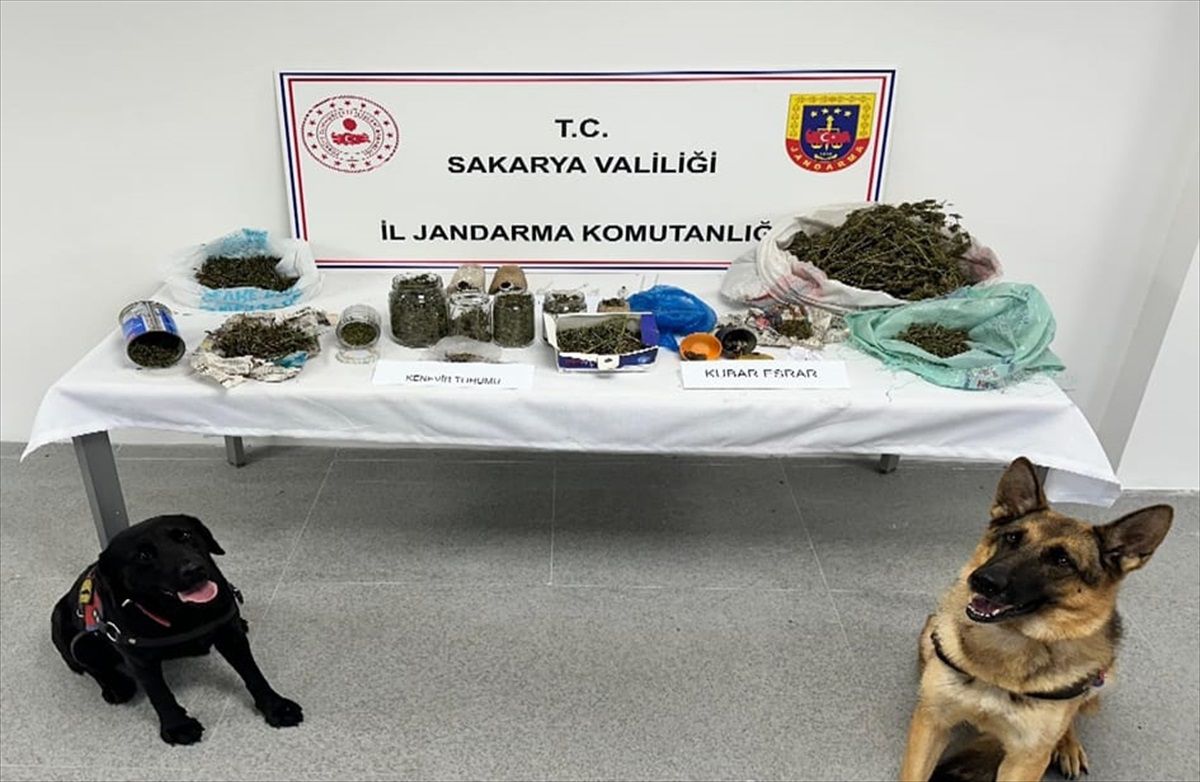 Sakarya\'da Uyuşturucu Operasyonu: 2 Tutuklama