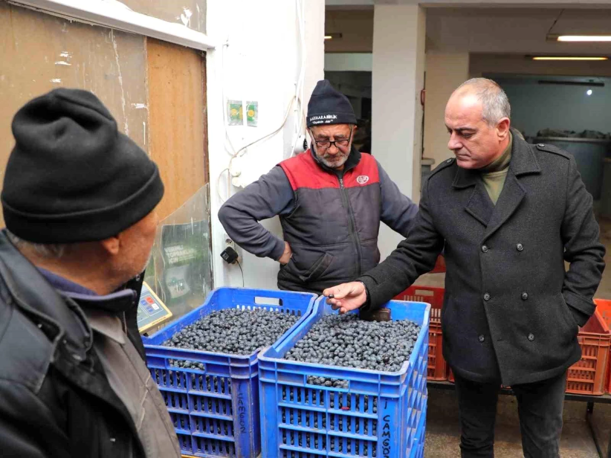 Gemlik Belediye Başkanı Mehmet Uğur Sertaslan, Tarım Kredi Kooperatifi ile görüşerek zeytin alım fiyatlarını artırdı