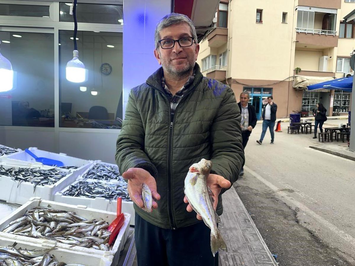 Sinop\'ta 300 Gramlık Dev Mezgit Şaşırttı